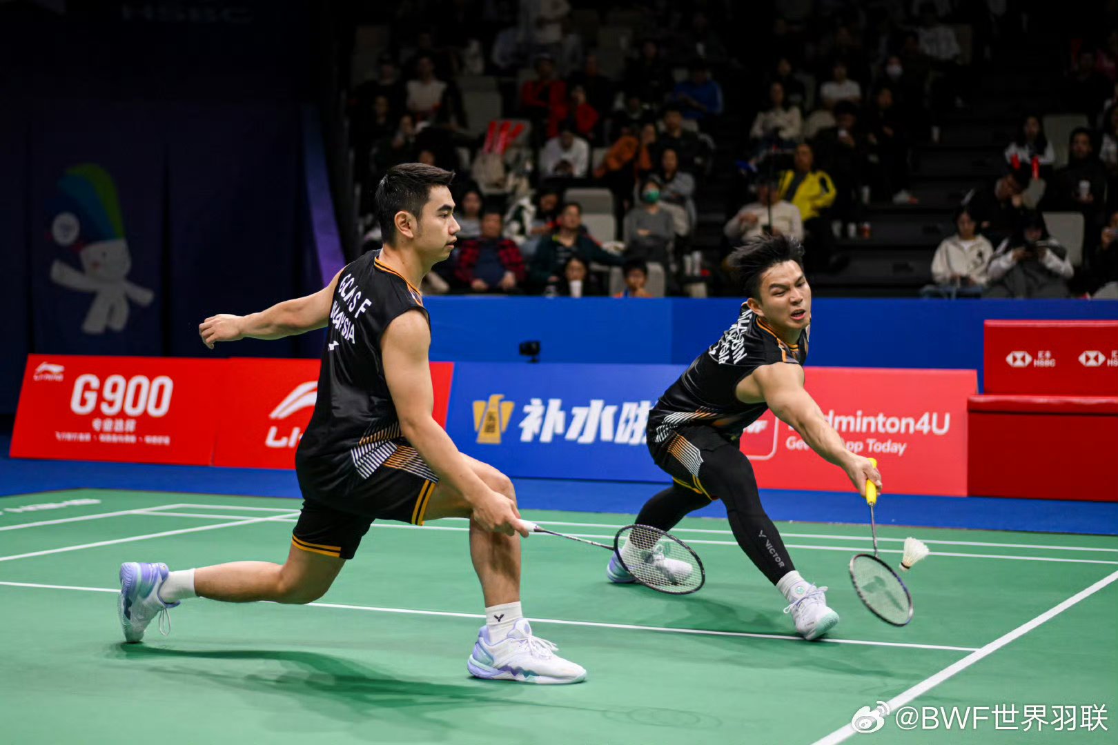 包含印度羽毛球队强势日本羽毛球队，谌龙制霸全场的词条