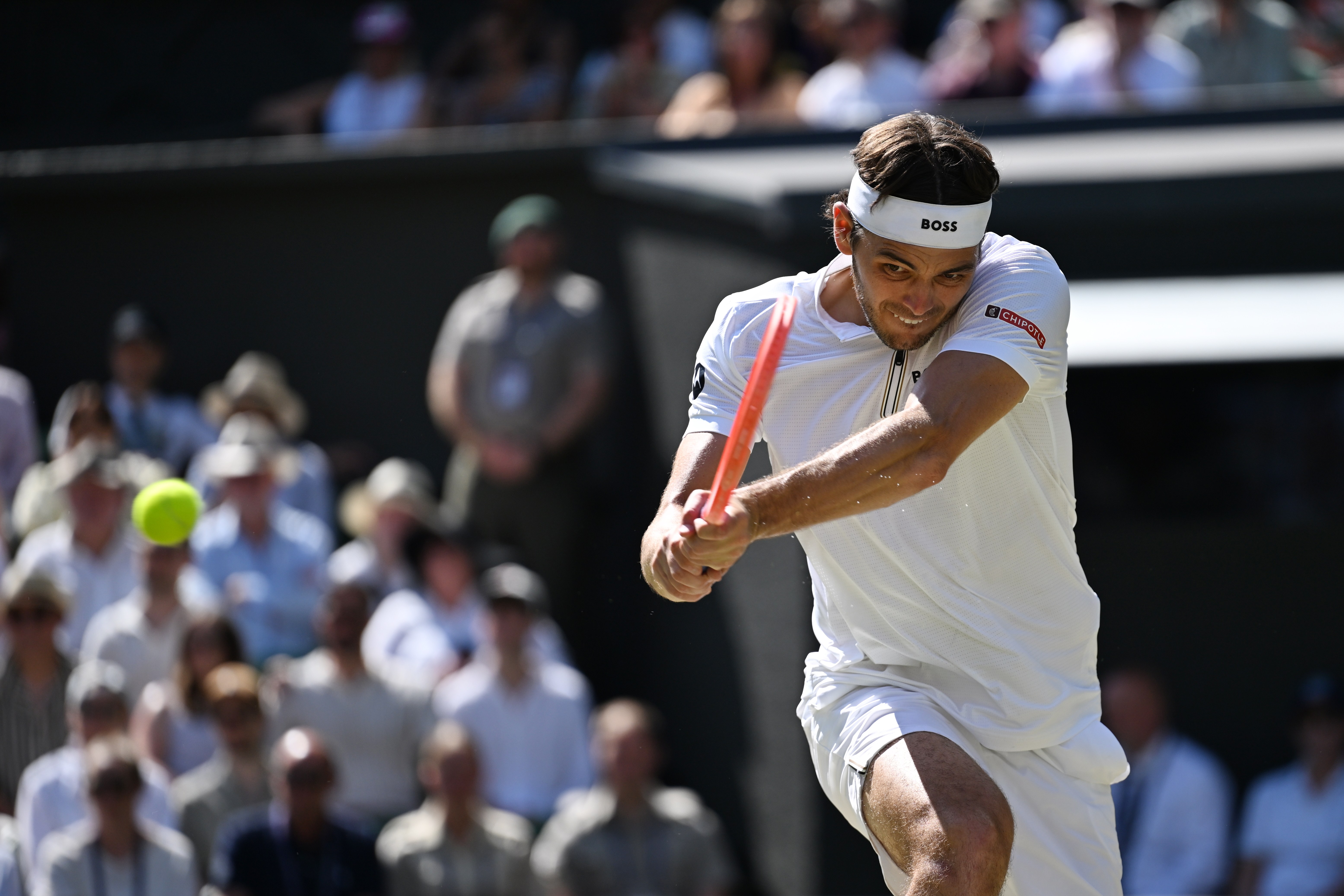 温网横扫戴维斯杯，阿尔卡拉斯惊艳四座的简单介绍